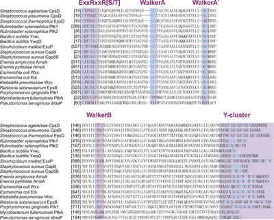 Protein Tyrosine and Serine/Threonine Phosphorylation in Oral Bacterial Dysbiosis and Bacteria-Host Interaction